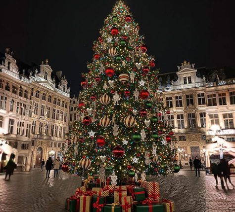 sapin-de-la-grand-place